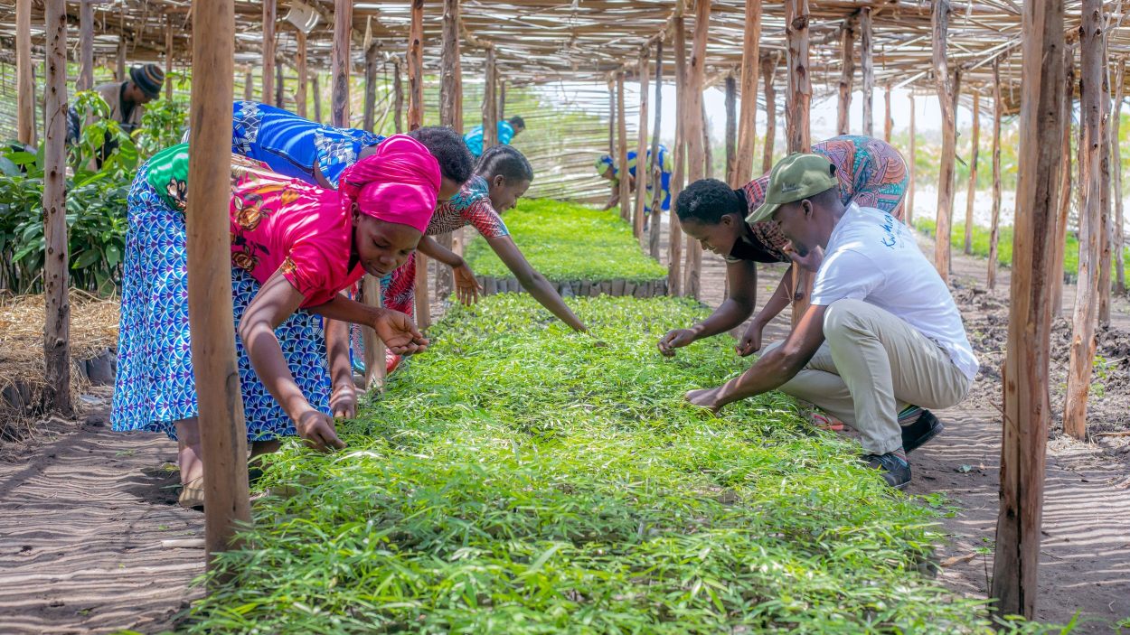 Richness in agriculture